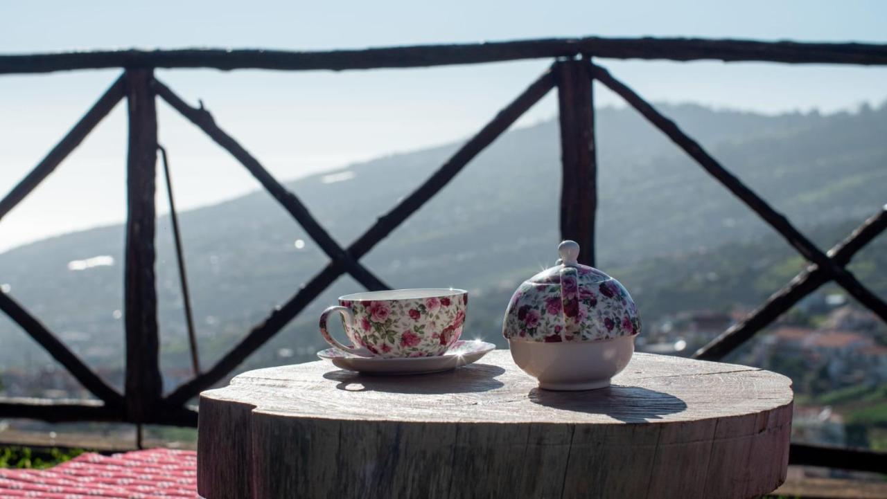 Casa Dos Avos Βίλα Calheta  Εξωτερικό φωτογραφία